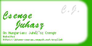 csenge juhasz business card